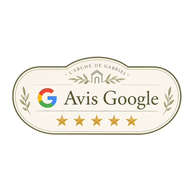 Avis Google